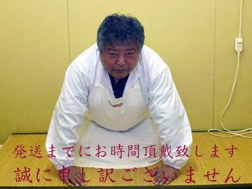申し訳ございません