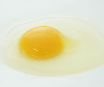 安心、安全、美味しい卵