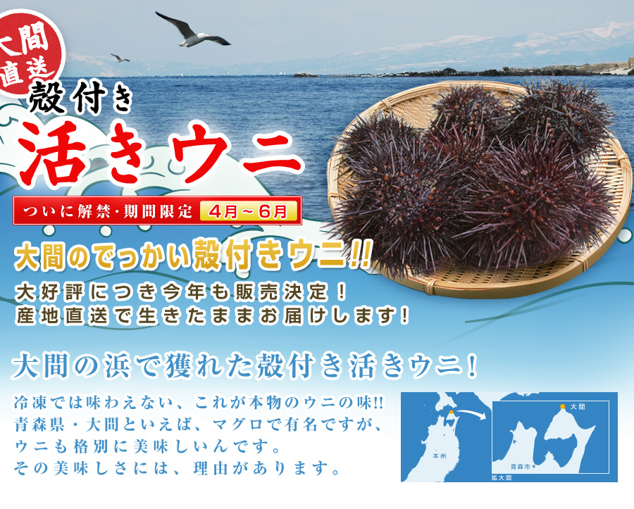 大間ウニ